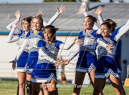 Thumbnail 3 in Shasta @ Anderson  photogallery.