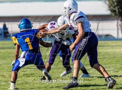Thumbnail 1 in Shasta @ Anderson  photogallery.