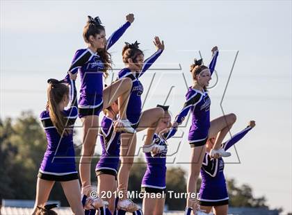 Thumbnail 1 in Shasta @ Anderson  photogallery.