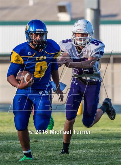 Thumbnail 2 in Shasta @ Anderson  photogallery.