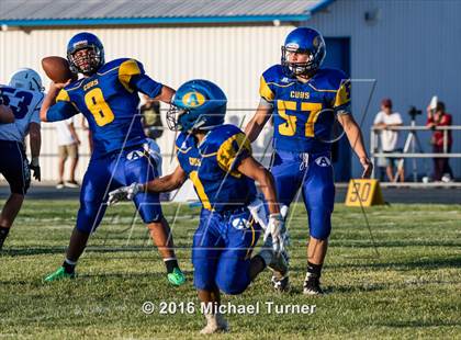 Thumbnail 3 in Shasta @ Anderson  photogallery.