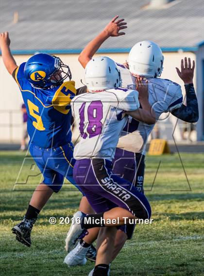 Thumbnail 2 in Shasta @ Anderson  photogallery.