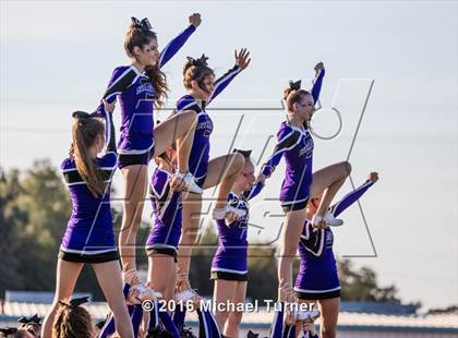Thumbnail 3 in Shasta @ Anderson  photogallery.