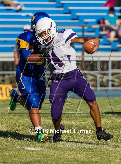 Thumbnail 3 in Shasta @ Anderson  photogallery.
