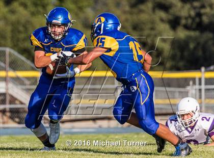 Thumbnail 3 in Shasta @ Anderson  photogallery.