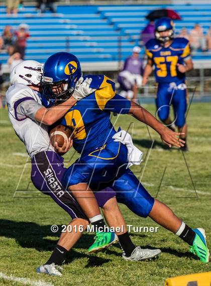 Thumbnail 1 in Shasta @ Anderson  photogallery.
