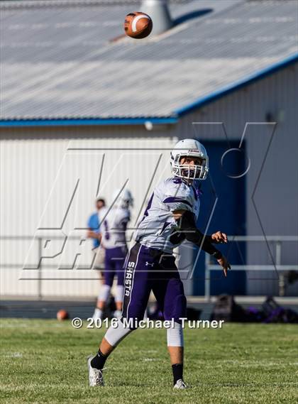 Thumbnail 1 in Shasta @ Anderson  photogallery.