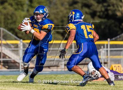 Thumbnail 2 in Shasta @ Anderson  photogallery.