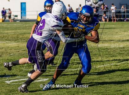 Thumbnail 1 in Shasta @ Anderson  photogallery.