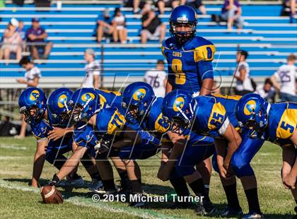 Thumbnail 1 in Shasta @ Anderson  photogallery.