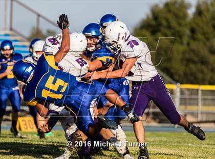 Thumbnail 1 in Shasta @ Anderson  photogallery.