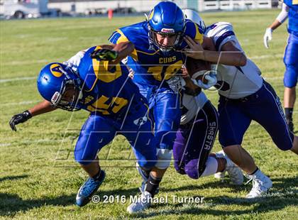 Thumbnail 1 in Shasta @ Anderson  photogallery.