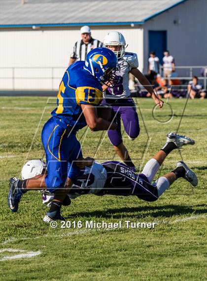 Thumbnail 2 in Shasta @ Anderson  photogallery.