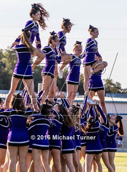 Thumbnail 1 in Shasta @ Anderson  photogallery.