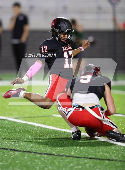 Thumbnail 3 in Poteet @ Melissa photogallery.