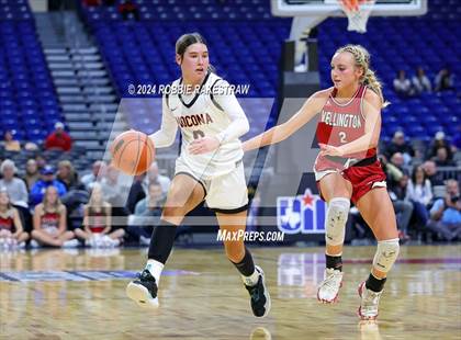 Thumbnail 3 in Nocona vs. Wellington (UIL 2A Basketball Semifinal) photogallery.
