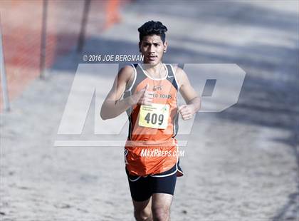 Thumbnail 3 in CIF State Cross Country Championships (D4 Boys Race) photogallery.