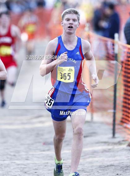 Thumbnail 2 in CIF State Cross Country Championships (D4 Boys Race) photogallery.