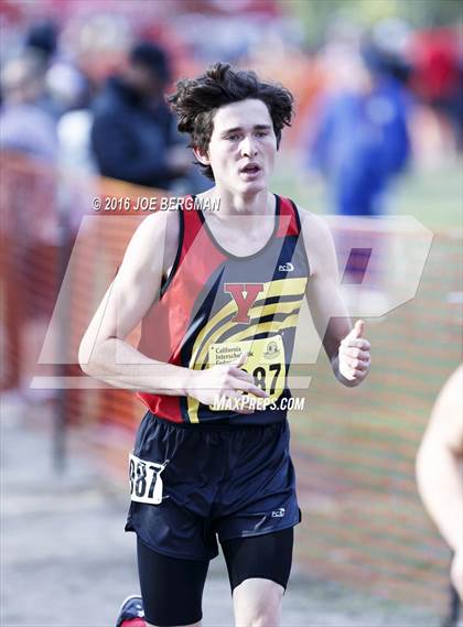 Thumbnail 1 in CIF State Cross Country Championships (D4 Boys Race) photogallery.