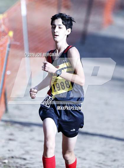Thumbnail 1 in CIF State Cross Country Championships (D4 Boys Race) photogallery.