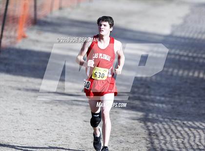 Thumbnail 3 in CIF State Cross Country Championships (D4 Boys Race) photogallery.
