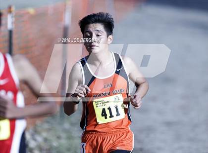 Thumbnail 3 in CIF State Cross Country Championships (D4 Boys Race) photogallery.