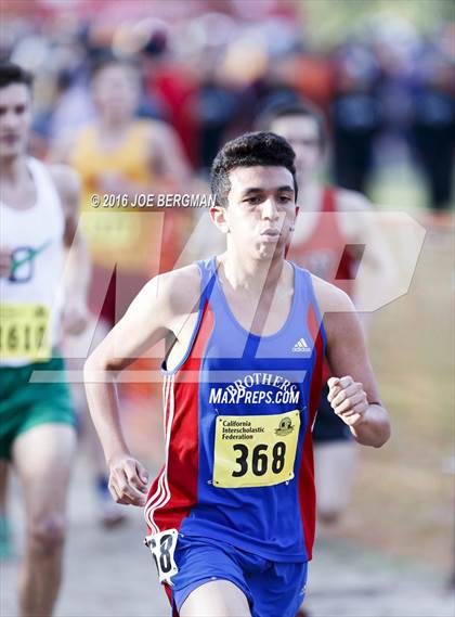 Thumbnail 2 in CIF State Cross Country Championships (D4 Boys Race) photogallery.