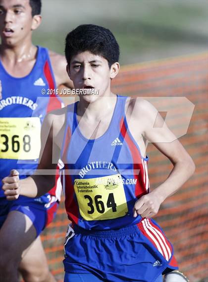 Thumbnail 2 in CIF State Cross Country Championships (D4 Boys Race) photogallery.