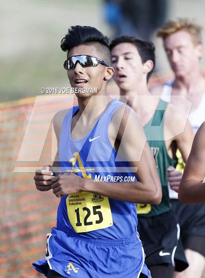 Thumbnail 1 in CIF State Cross Country Championships (D4 Boys Race) photogallery.