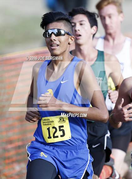 Thumbnail 3 in CIF State Cross Country Championships (D4 Boys Race) photogallery.
