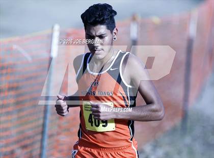 Thumbnail 3 in CIF State Cross Country Championships (D4 Boys Race) photogallery.