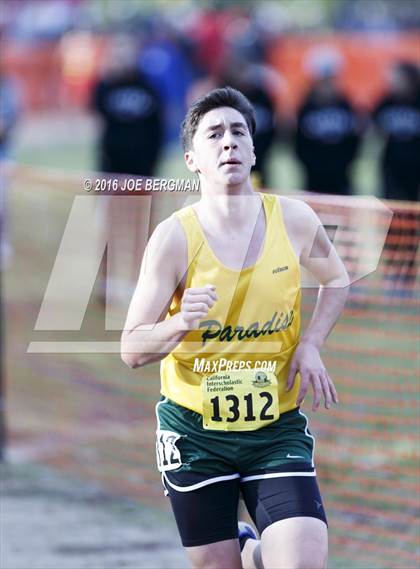 Thumbnail 3 in CIF State Cross Country Championships (D4 Boys Race) photogallery.