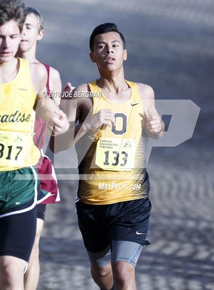 Thumbnail 1 in CIF State Cross Country Championships (D4 Boys Race) photogallery.