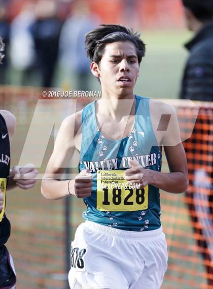 Thumbnail 2 in CIF State Cross Country Championships (D4 Boys Race) photogallery.