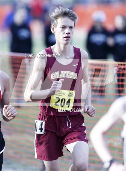 Thumbnail 2 in CIF State Cross Country Championships (D4 Boys Race) photogallery.