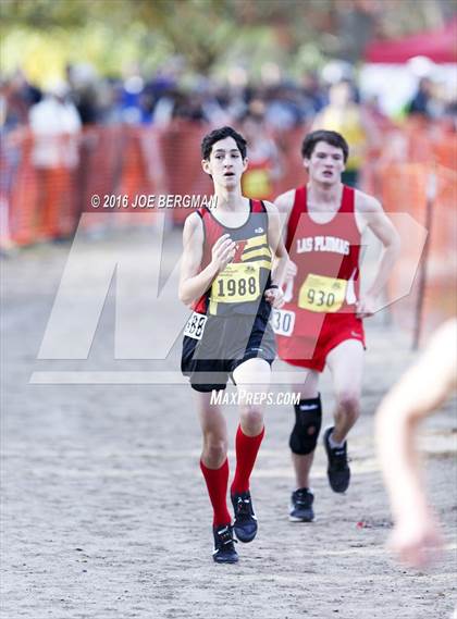 Thumbnail 1 in CIF State Cross Country Championships (D4 Boys Race) photogallery.