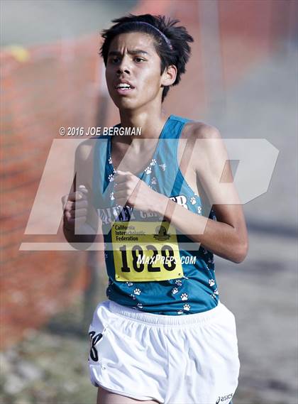 Thumbnail 1 in CIF State Cross Country Championships (D4 Boys Race) photogallery.