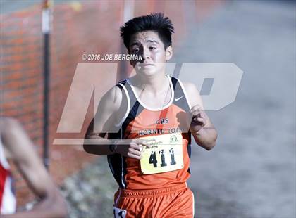 Thumbnail 1 in CIF State Cross Country Championships (D4 Boys Race) photogallery.