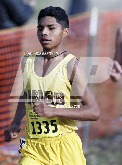 Thumbnail 2 in CIF State Cross Country Championships (D4 Boys Race) photogallery.