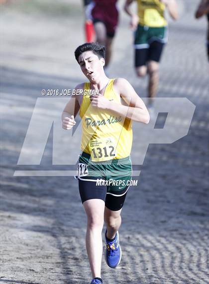 Thumbnail 1 in CIF State Cross Country Championships (D4 Boys Race) photogallery.