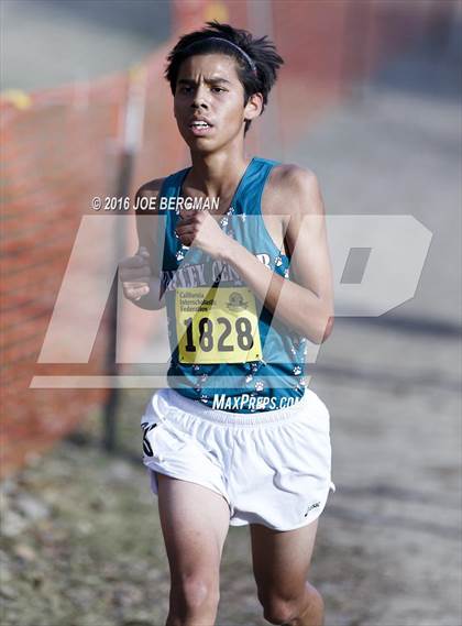 Thumbnail 3 in CIF State Cross Country Championships (D4 Boys Race) photogallery.