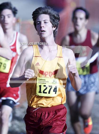 Thumbnail 1 in CIF State Cross Country Championships (D4 Boys Race) photogallery.
