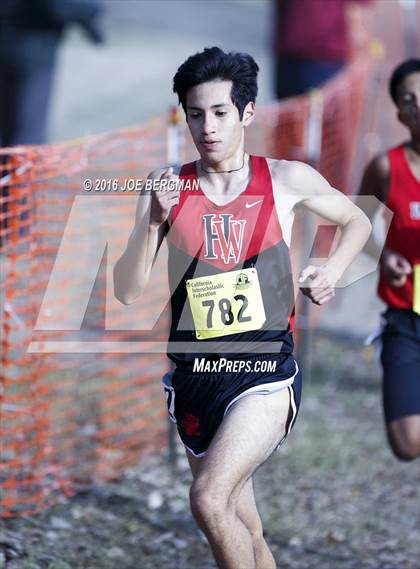 Thumbnail 2 in CIF State Cross Country Championships (D4 Boys Race) photogallery.