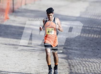 Thumbnail 1 in CIF State Cross Country Championships (D4 Boys Race) photogallery.