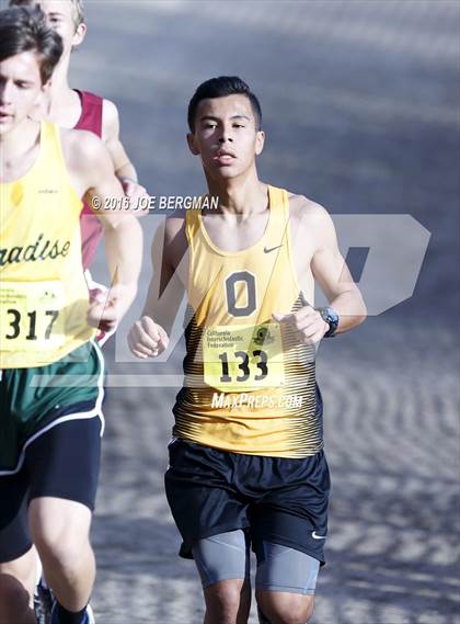 Thumbnail 3 in CIF State Cross Country Championships (D4 Boys Race) photogallery.