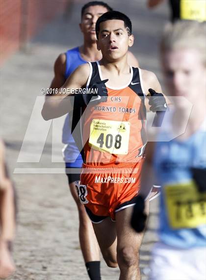 Thumbnail 2 in CIF State Cross Country Championships (D4 Boys Race) photogallery.