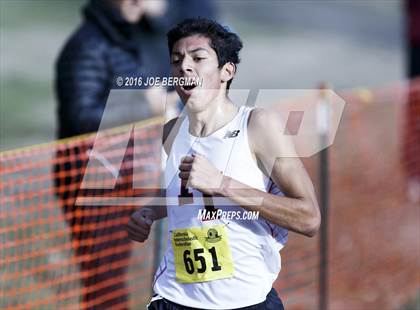 Thumbnail 1 in CIF State Cross Country Championships (D4 Boys Race) photogallery.