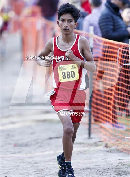 Thumbnail 3 in CIF State Cross Country Championships (D4 Boys Race) photogallery.