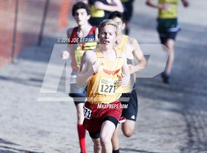 Thumbnail 2 in CIF State Cross Country Championships (D4 Boys Race) photogallery.