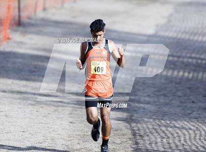 Thumbnail 3 in CIF State Cross Country Championships (D4 Boys Race) photogallery.